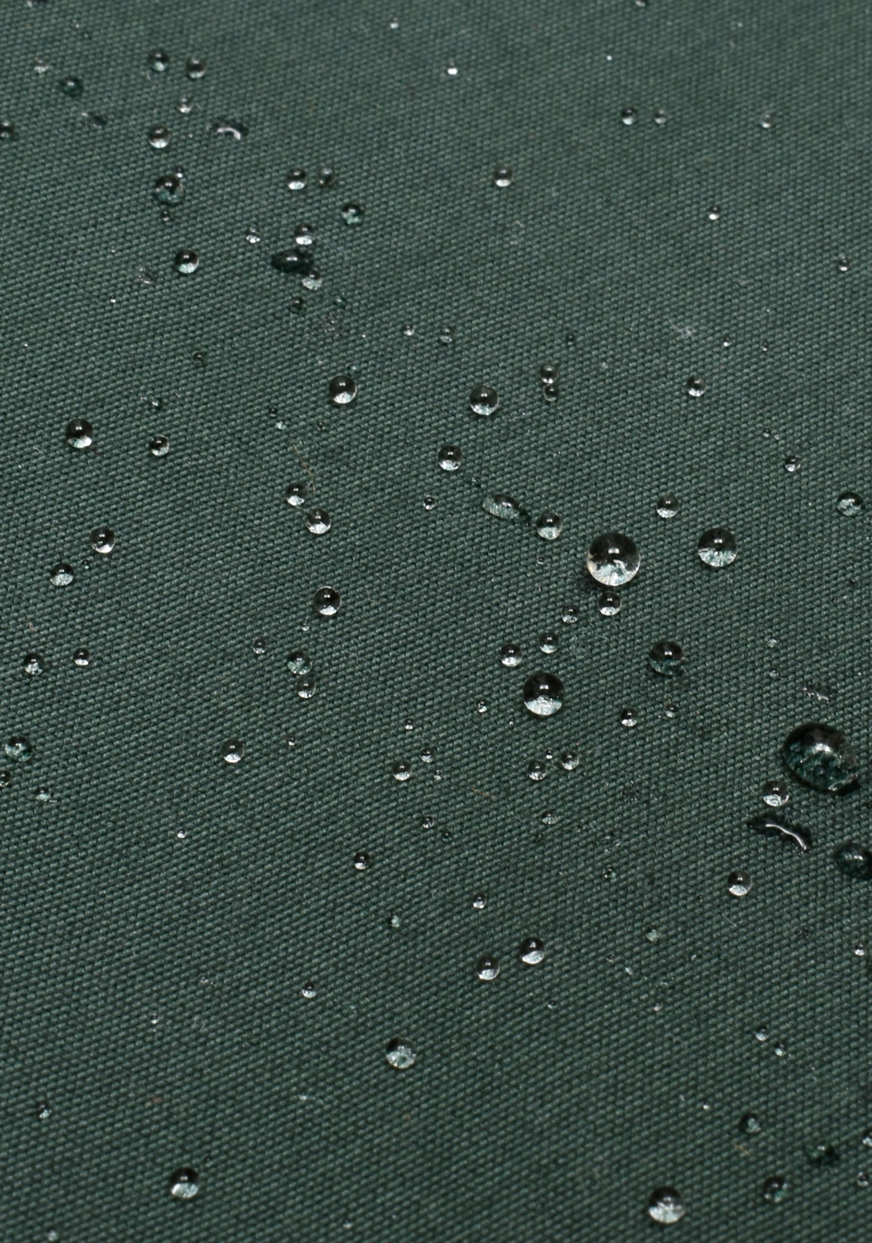 Chamarra Shelley Verde