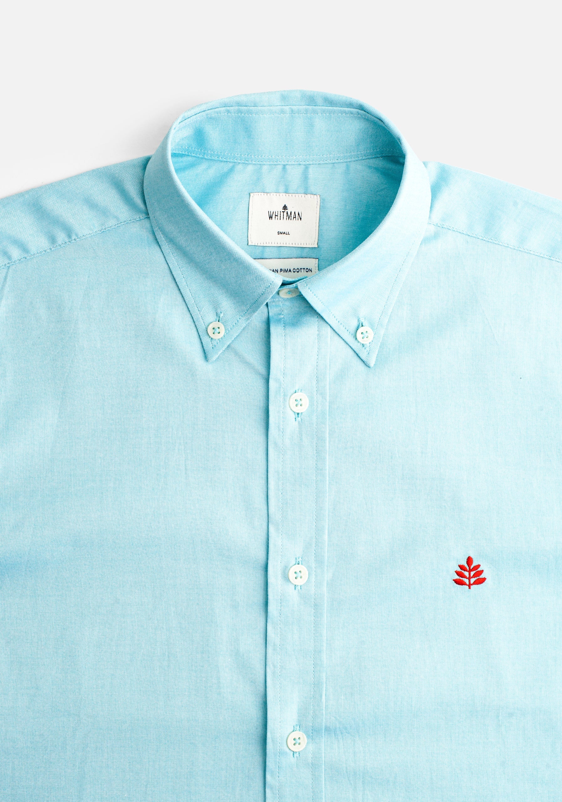 Camisa Verde Menta Cuello Button Down L-Roj