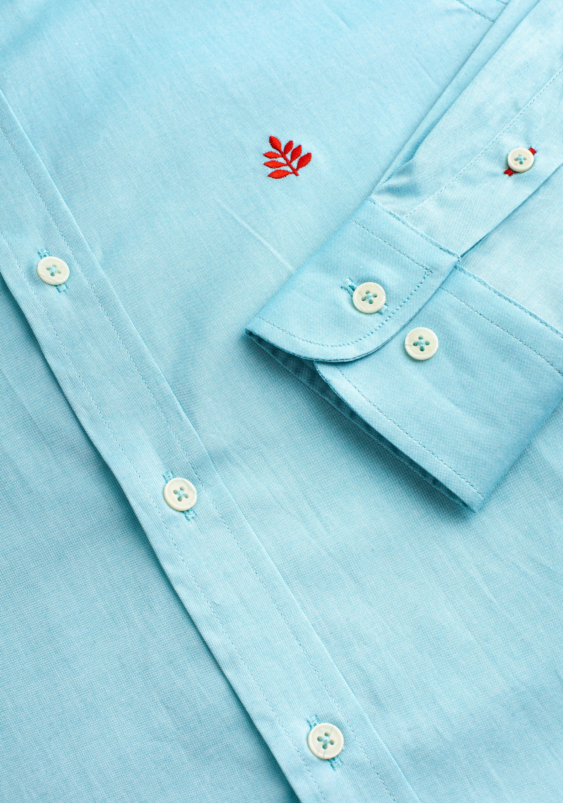 Camisa Verde Menta Cuello Button Down L-Roj